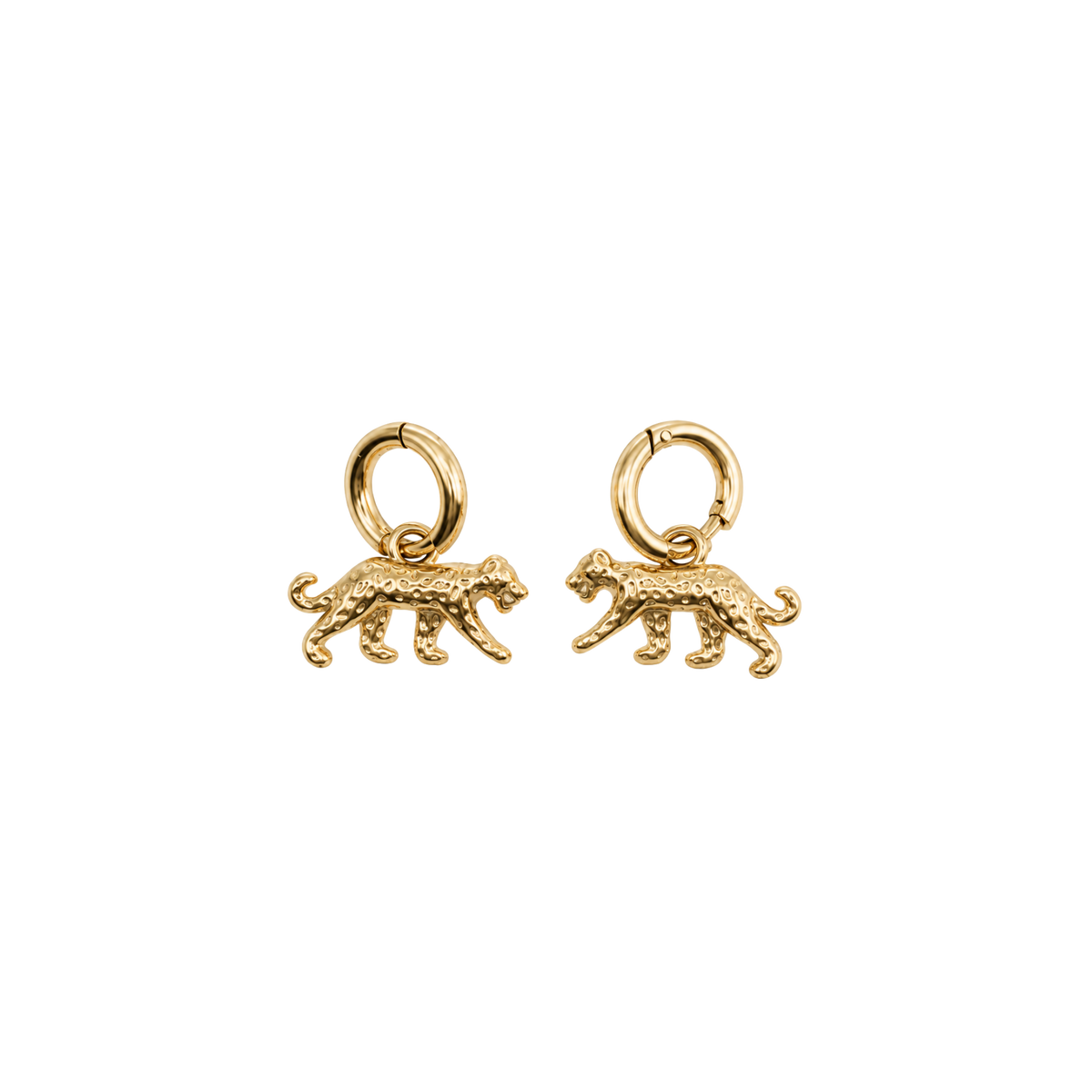 LOOPS - LEO